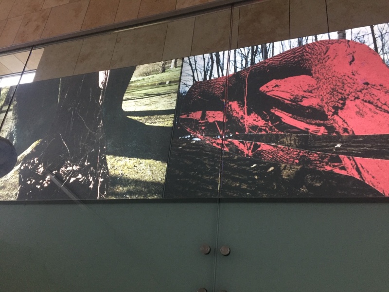 Site-specific installation by Sergei Sviatchenko