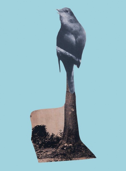Collage by Sergei Sviatchenko, 2019
