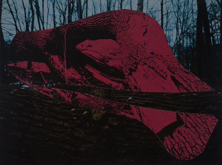 FROM THE SERIES Resisting Interpretation, 2013